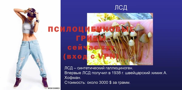 ешки Алексин