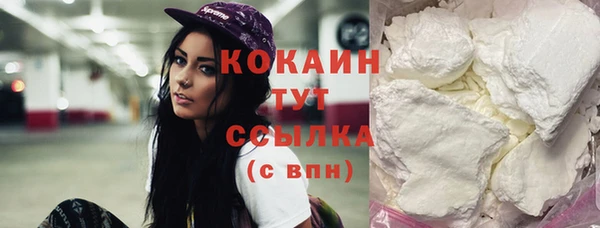 хмурый Абаза