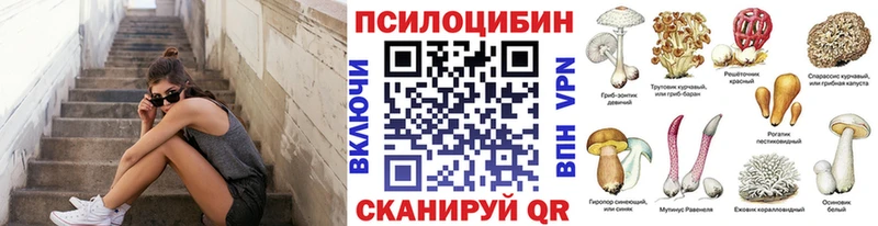 Псилоцибиновые грибы Psilocybe  продажа наркотиков  Кирс 
